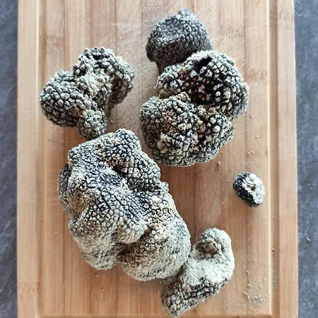 Casa de Férias La Casa Dei Nonni San Pietro (Ancona)