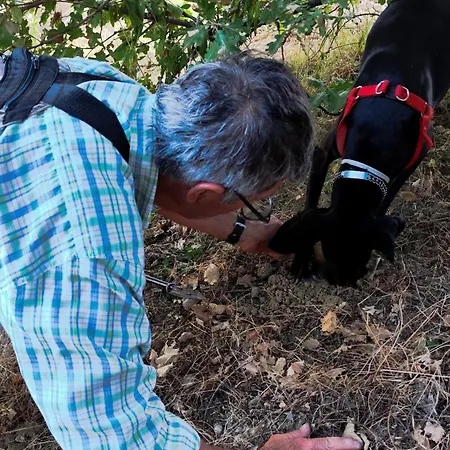 La Casa Dei Nonni Сasa de vacaciones *